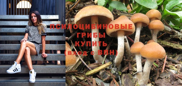 дживик Сафоново