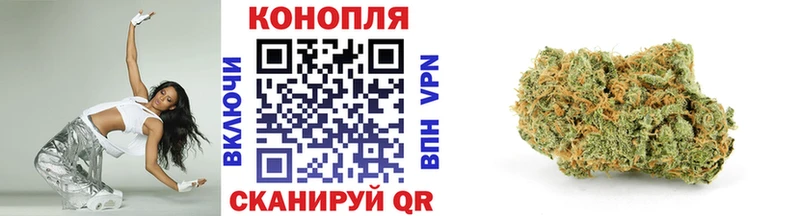 Бошки Шишки сатива Бор